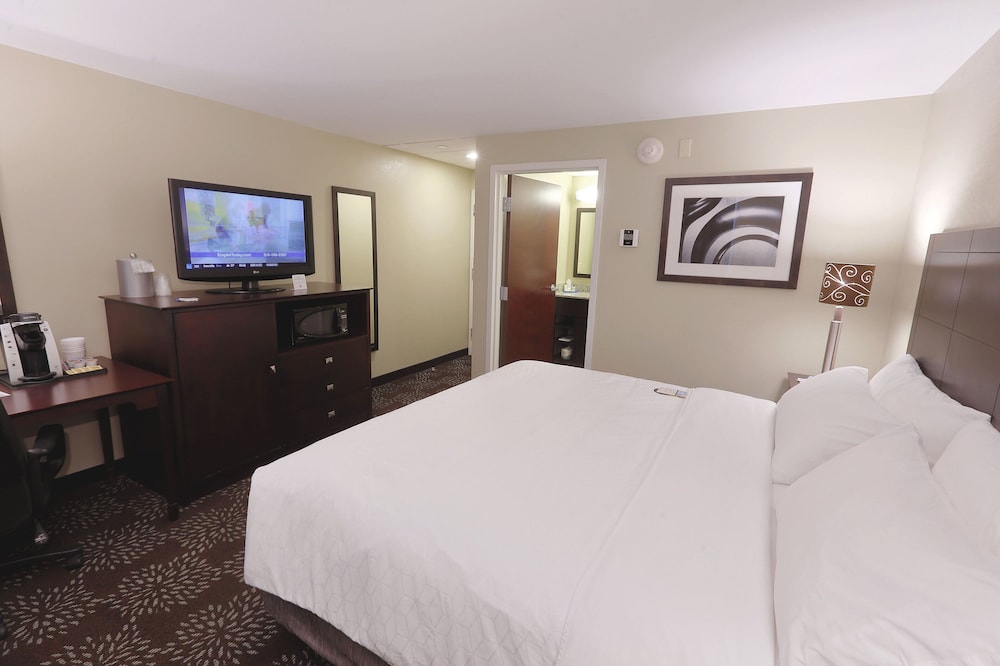 Holiday Inn Express & Suites Pittsburgh West Greentree by IHG - photo 27