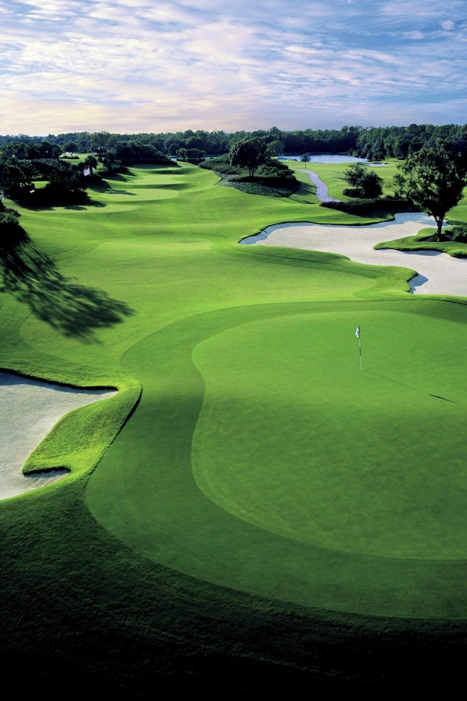 The Ritz Carlton Sarasota - photo 86