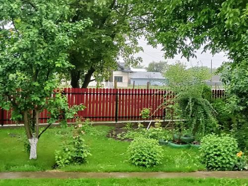 Costi&Miha in Botosani, Romania