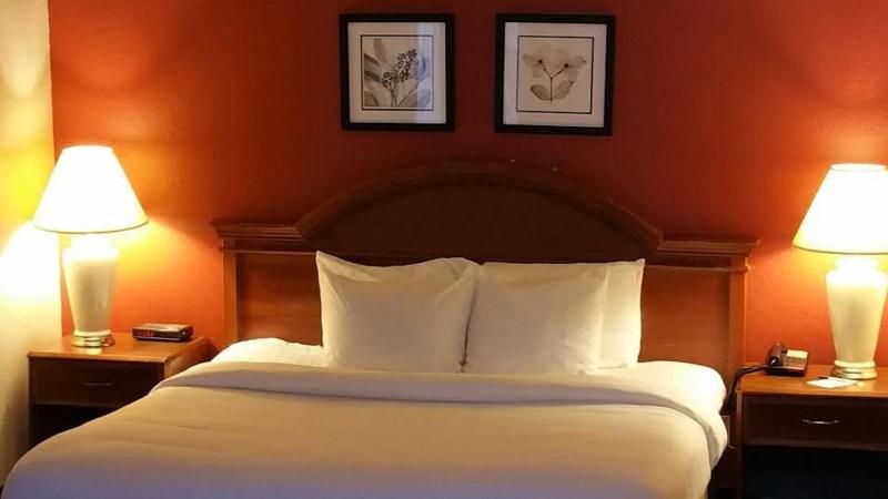 Extended Studio Suite Hotel - photo 7