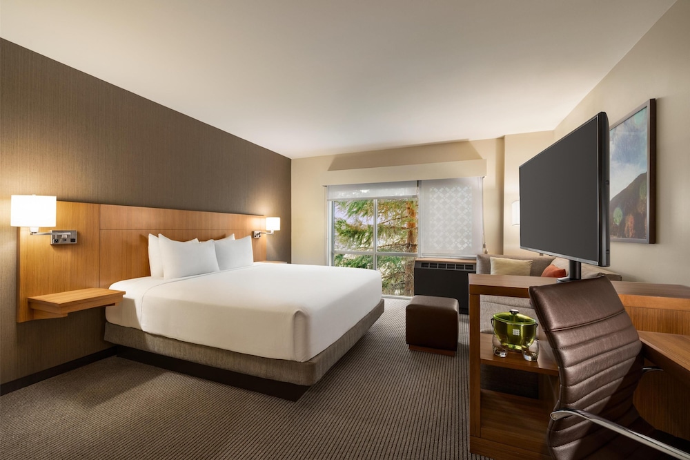 Hyatt Place Keystone Dillon - photo 12