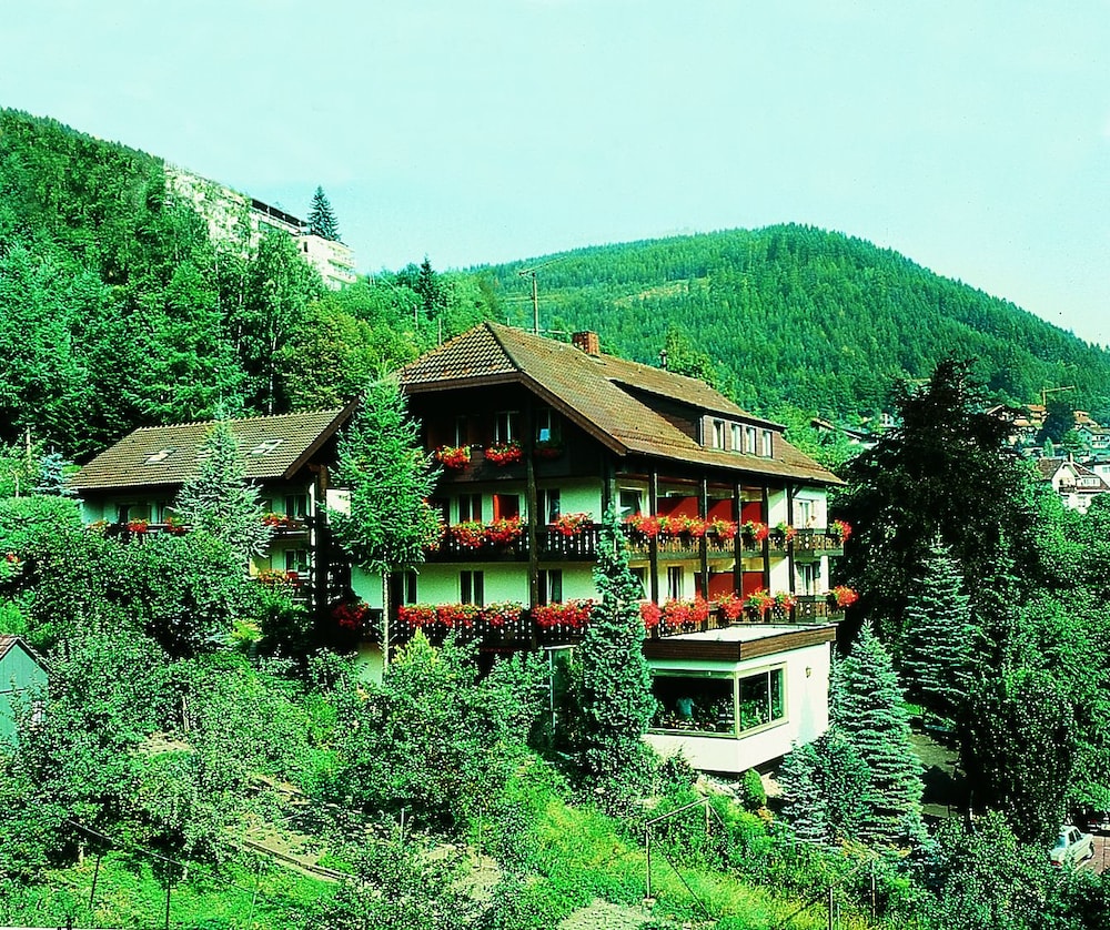 Atina Hotel — hotel in Bad Wildbad