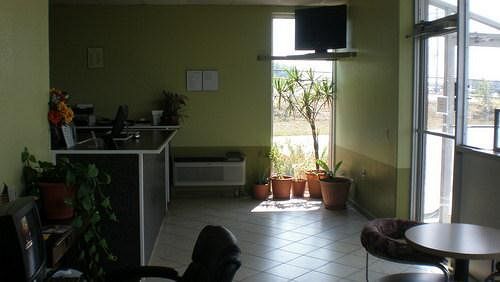 Royal Inn Crossville - photo 7