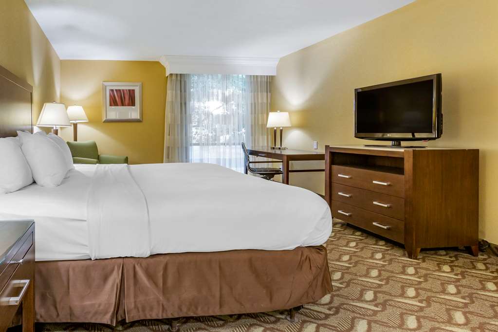 Clarion Inn and Suites Roswell NM - photo 9