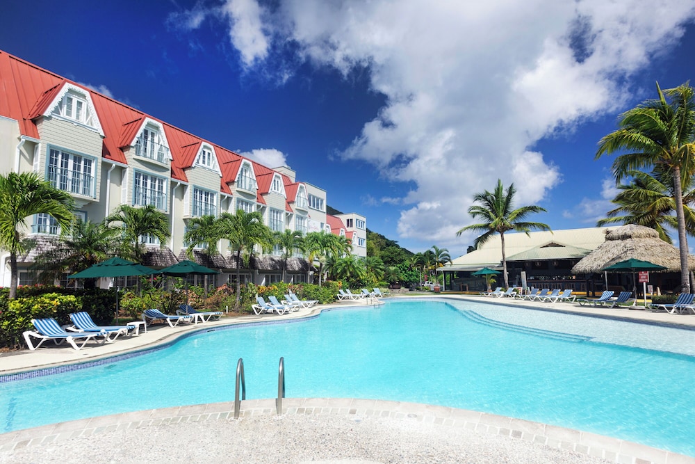 Coco Palm in Gros Islet, Saint Lucia