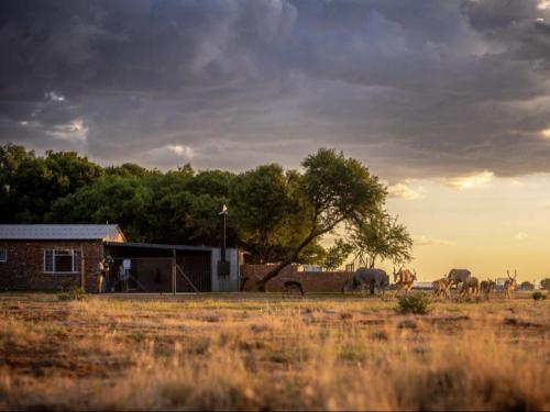 Anna Africa Guest House — 4-Star Luxury Hotel in Bloemfontein, South Africa