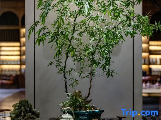 Rose Garden Hotel — Xi'an — photo 5