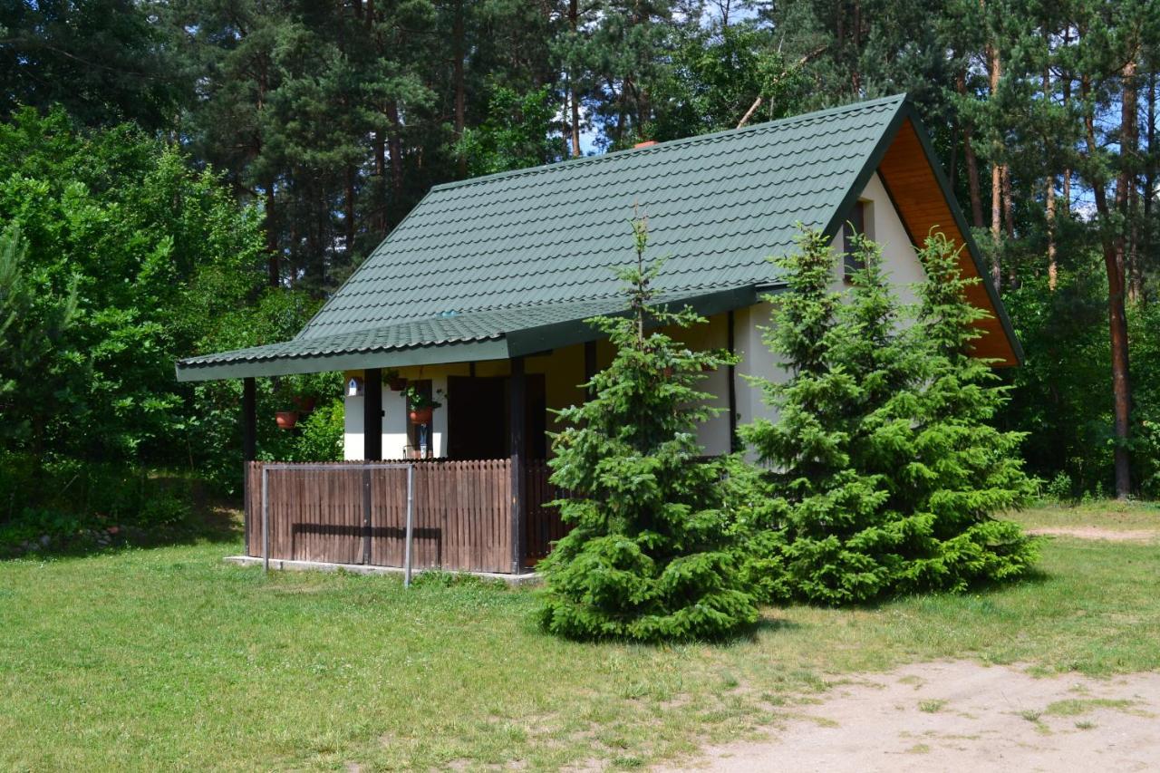 Domek W Sajenku — Augustow — photo 2