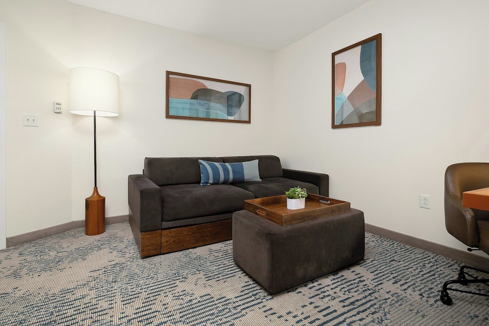 SpringHill Suites by Marriott McAllen Convention Center - photo 27