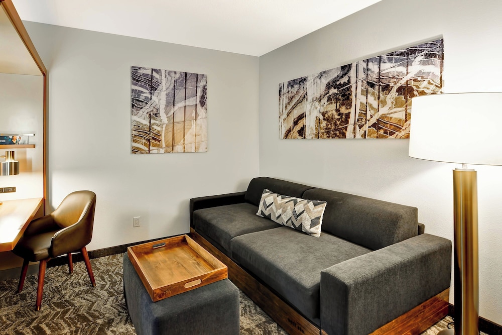 SpringHill Suites By Marriott Columbia Fort Meade Area - photo 13