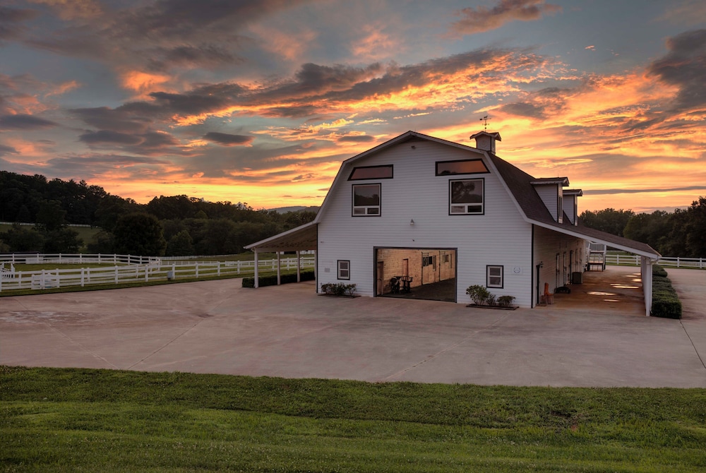 The Horse Shoe Farm - photo 50