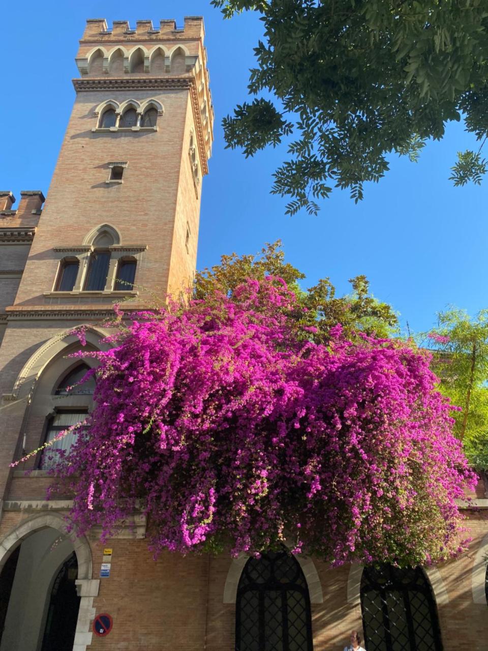 An Indian Bollywood Sevilla Experience for Families Couples & Business Trips — 4-Star Luxury Hotel in Sevilla, Spain