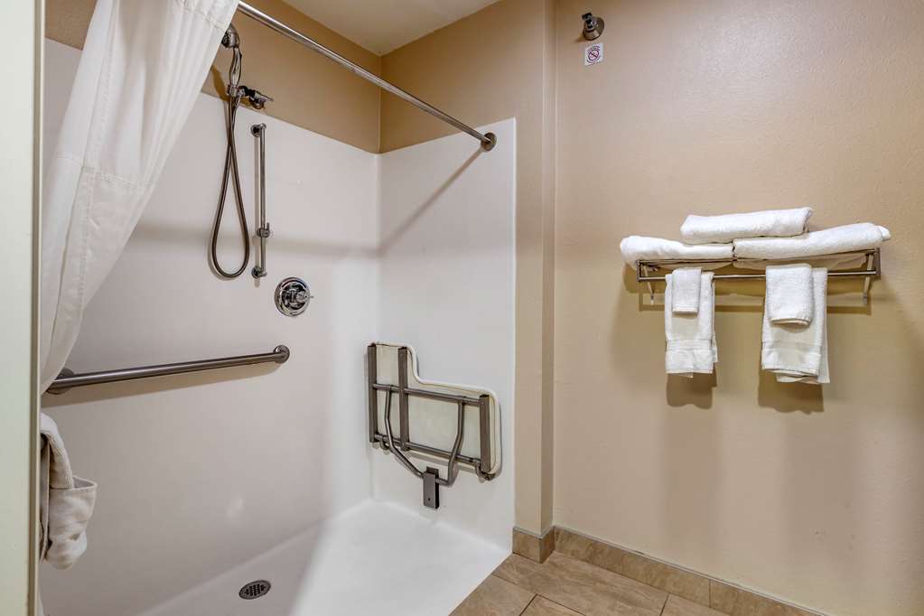 Comfort Inn & Suites Cedar Rapids North Collins Road - photo 16