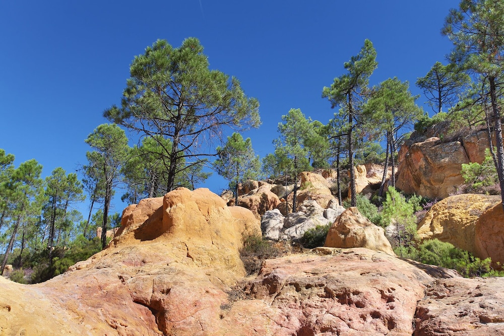 Domaine Les Petites Vaines in Goult, France