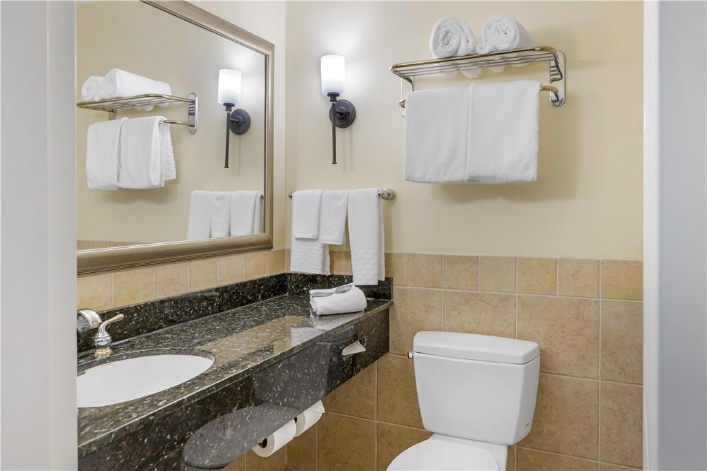 Best Western Plus Vineyard Inn & Suites - photo 33