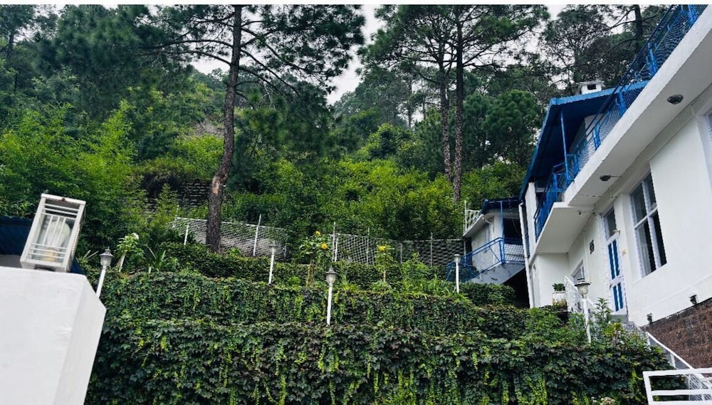 HOTEL Golden Pine villa in Kasauli, India