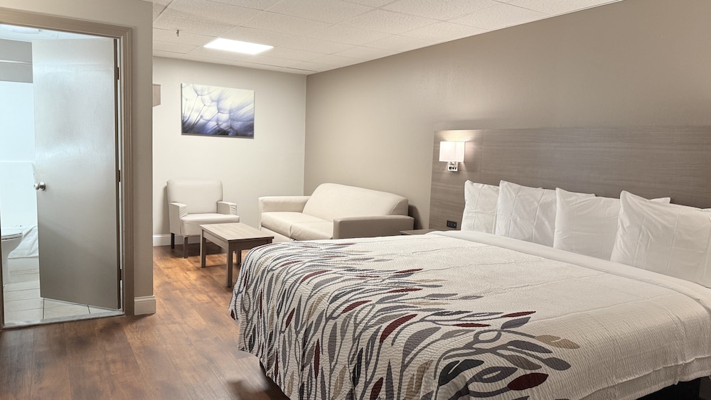 Red Roof Inn & Suites Swansea - photo 8