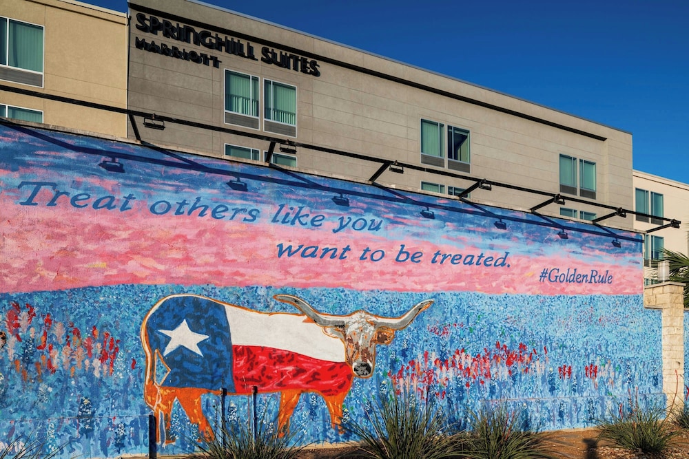 SpringHill Suites by Marriott Austin Cedar Park - photo 39