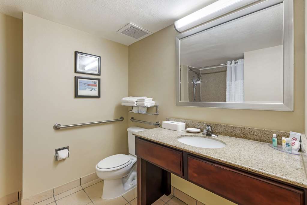 Comfort Inn & Suites Tavares North - photo 18