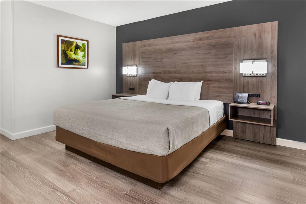 Quality Inn & Suites Raleigh Durham Airport - photo 23