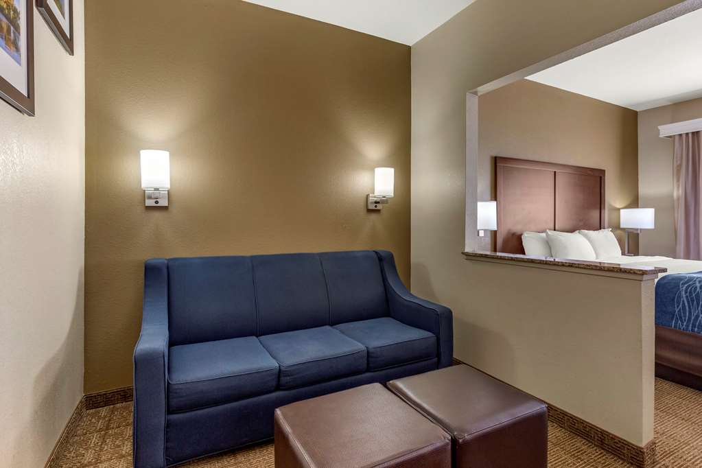 Comfort Inn & Suites Alameda at Albuquerque Balloon Fiesta Park - photo 22
