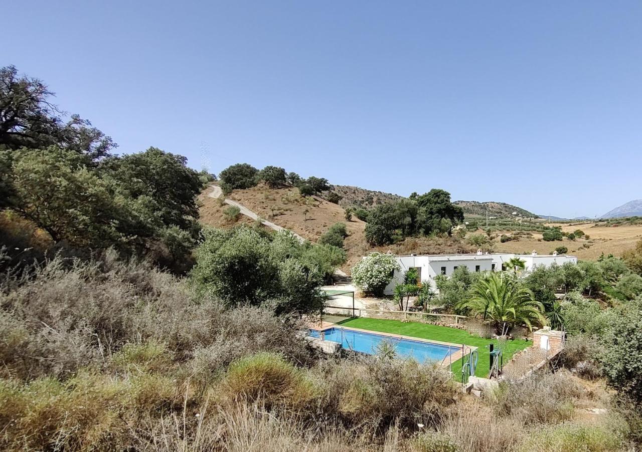 Finca La Libertad — Coin