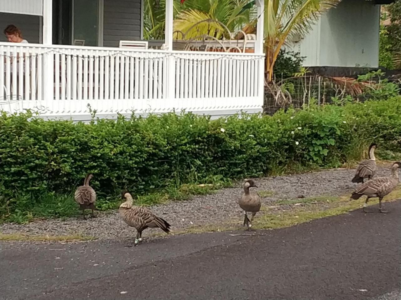 Ocean Breeze Inn - photo 37