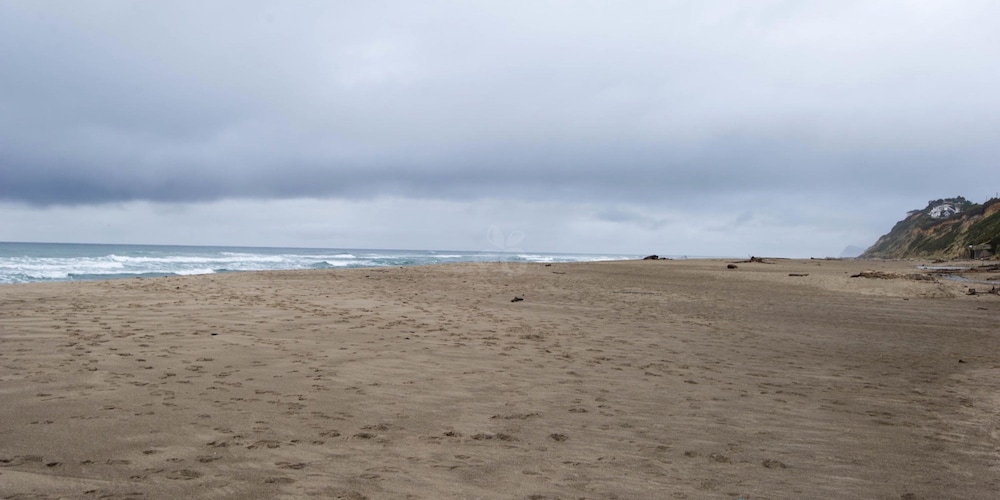 The Sandcastle Beachfront Hotel - photo 100