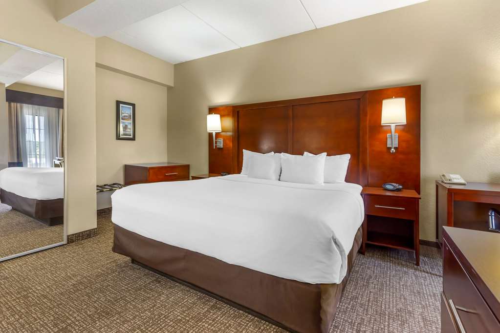 Comfort Suites Regency Park - photo 19