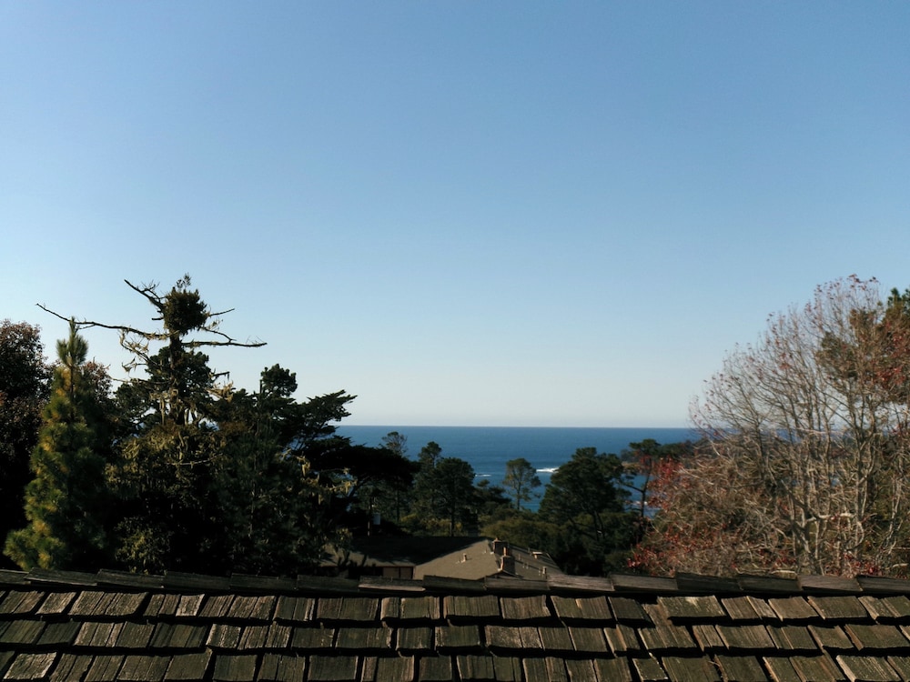 Carmel Wayfarer Inn - photo 31