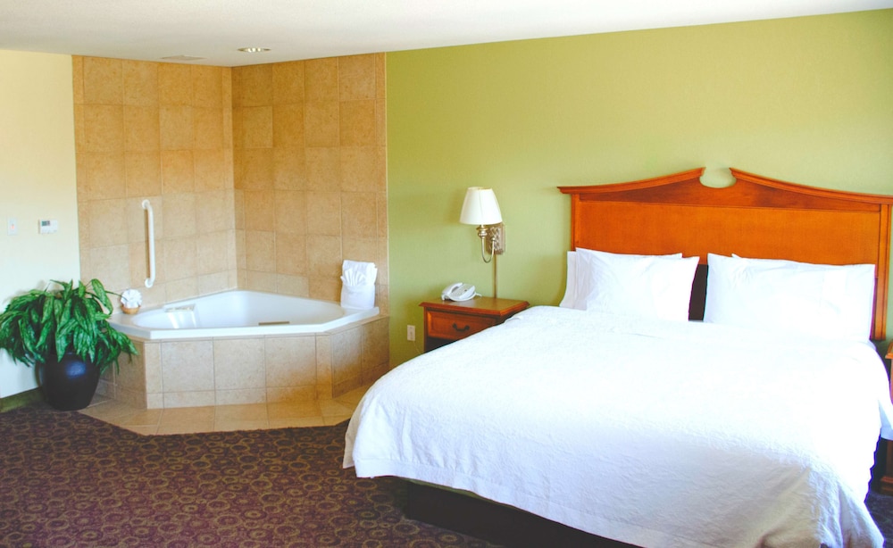 Hampton Inn and Suites College Station - photo 30