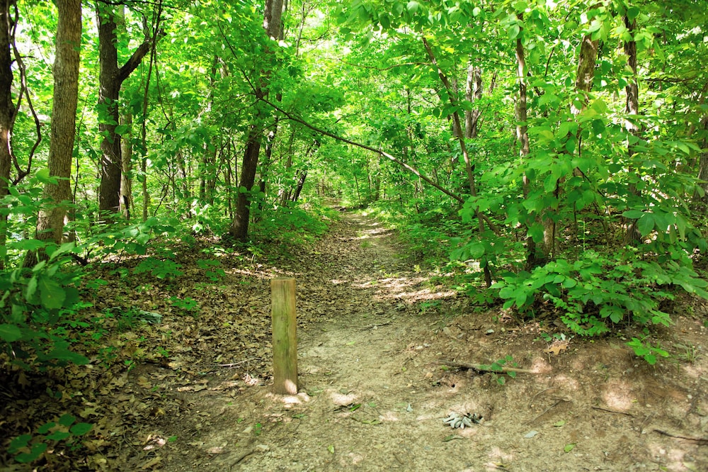 Basswood Resort - photo 41
