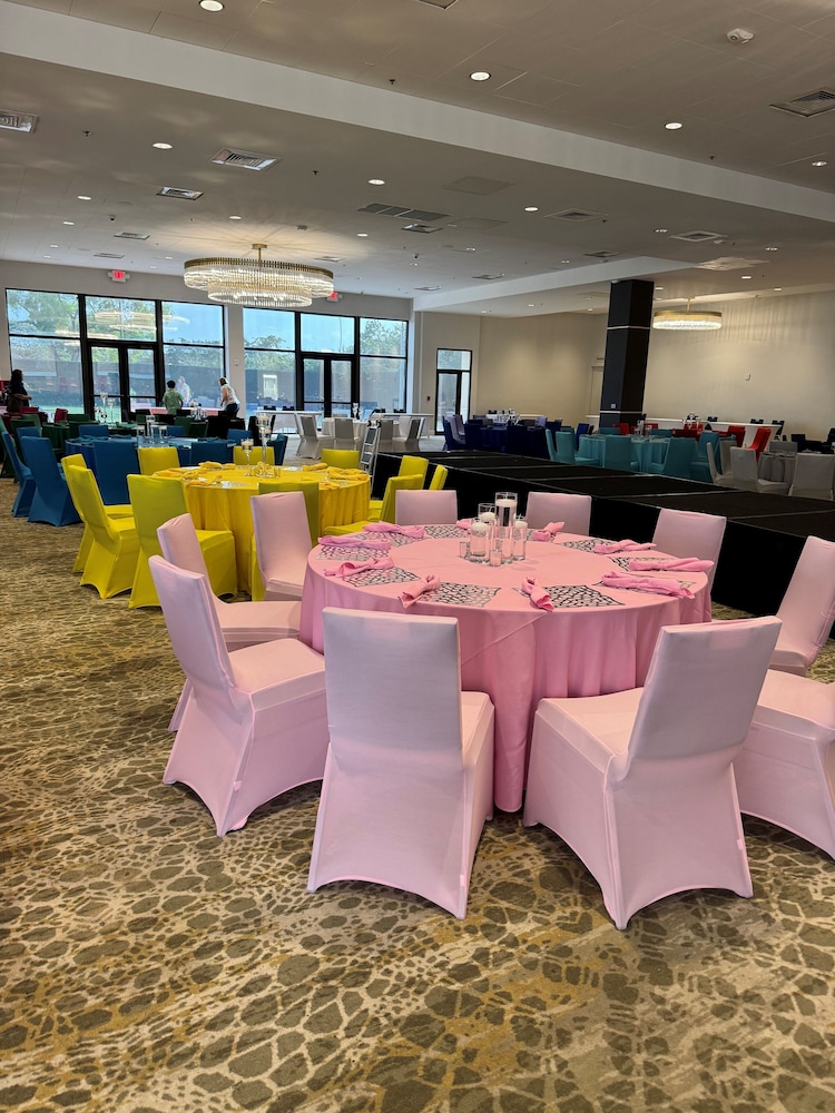 Hilton Palm Beach PBI - photo 168