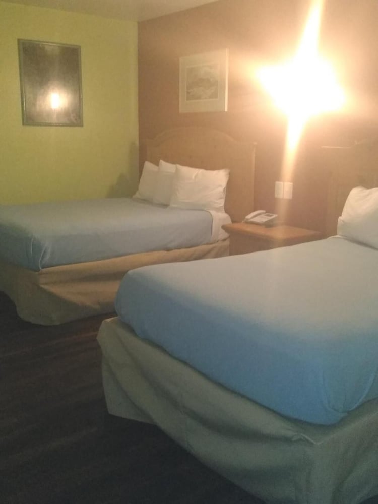 Econo Inn Anchorage - photo 15