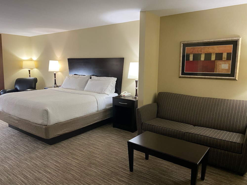 Holiday Inn Express &Suites Snyder by IHG - photo 6