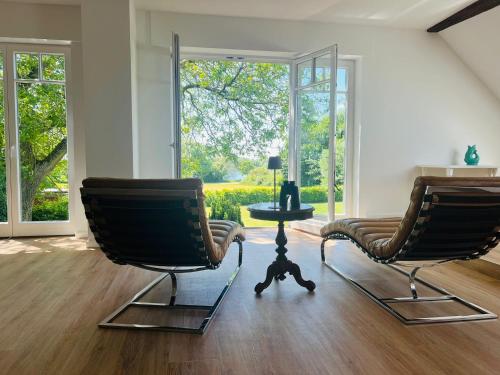 Außergewöhnliche Katstelle Rheindamm an der Xantener Nordsee in Xanten, Germany