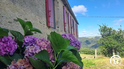 La lauziere - last minute hotel in Unknown City