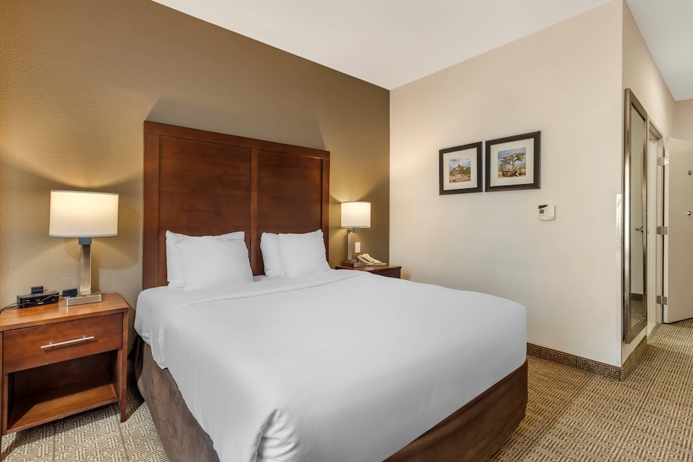 Comfort Inn & Suites Aztec Farmington Area - photo 28