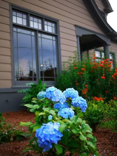 Hydrangea Inn — Eureka — photo 5