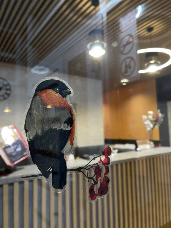 Snegiri Hotel in Nizhnekamsk, Russia