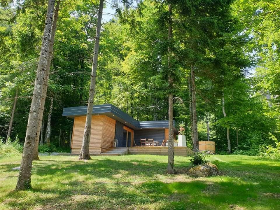 Gozdne Vile Va Vrti in Kostel, Slovenia