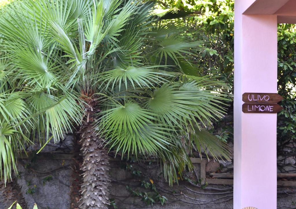 Villa Fiore Apartments — 4-Star Luxury Hotel in Portoferraio, Italy