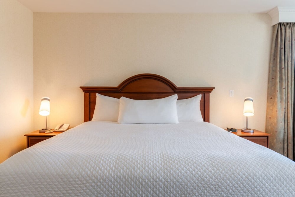 Ogunquit Hotel & Suites - photo 6