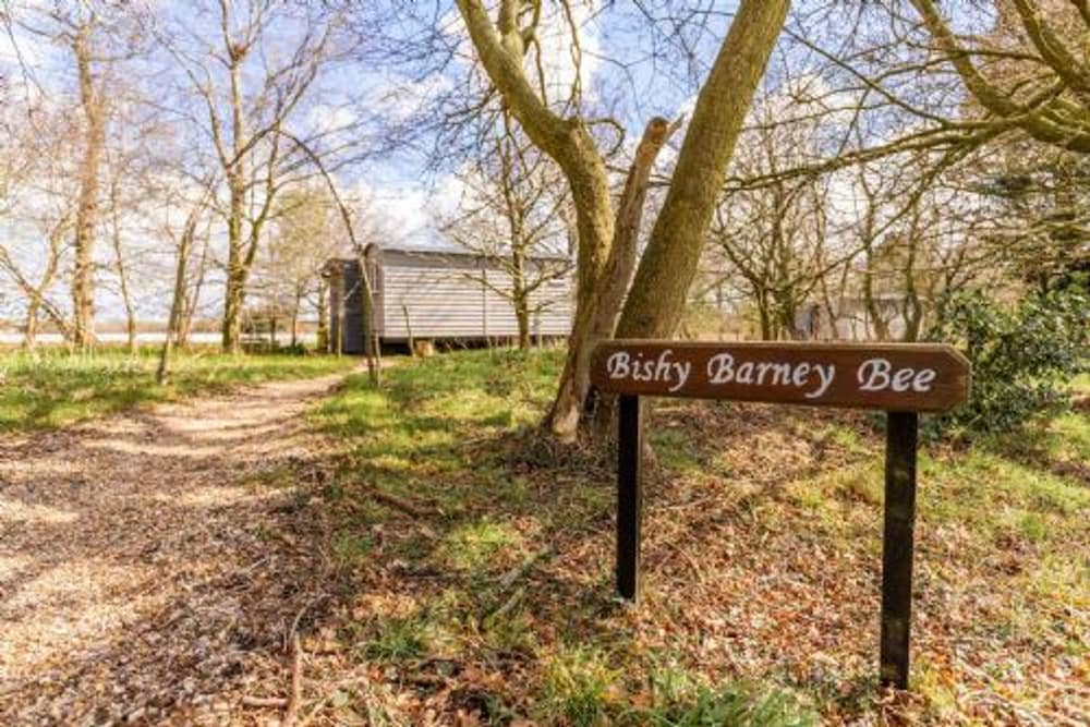Host Stay The Bishy Barnee Bee in Thetford, United Kingdom