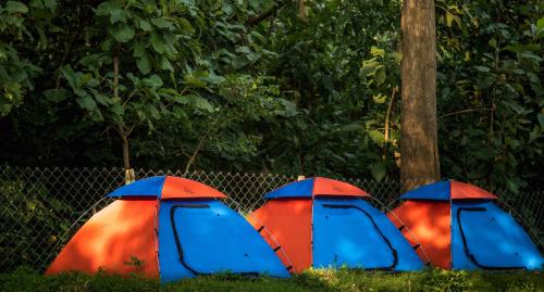 Dandeli Luxury Resort — Dandeli
