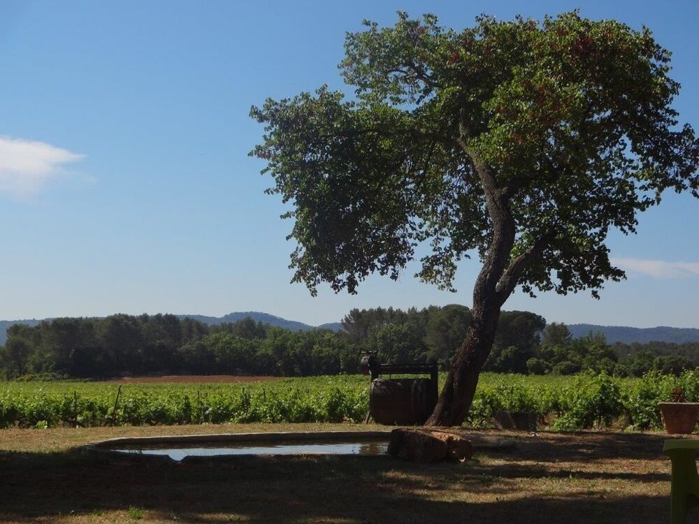 Chateau Nestuby in Cotignac, France