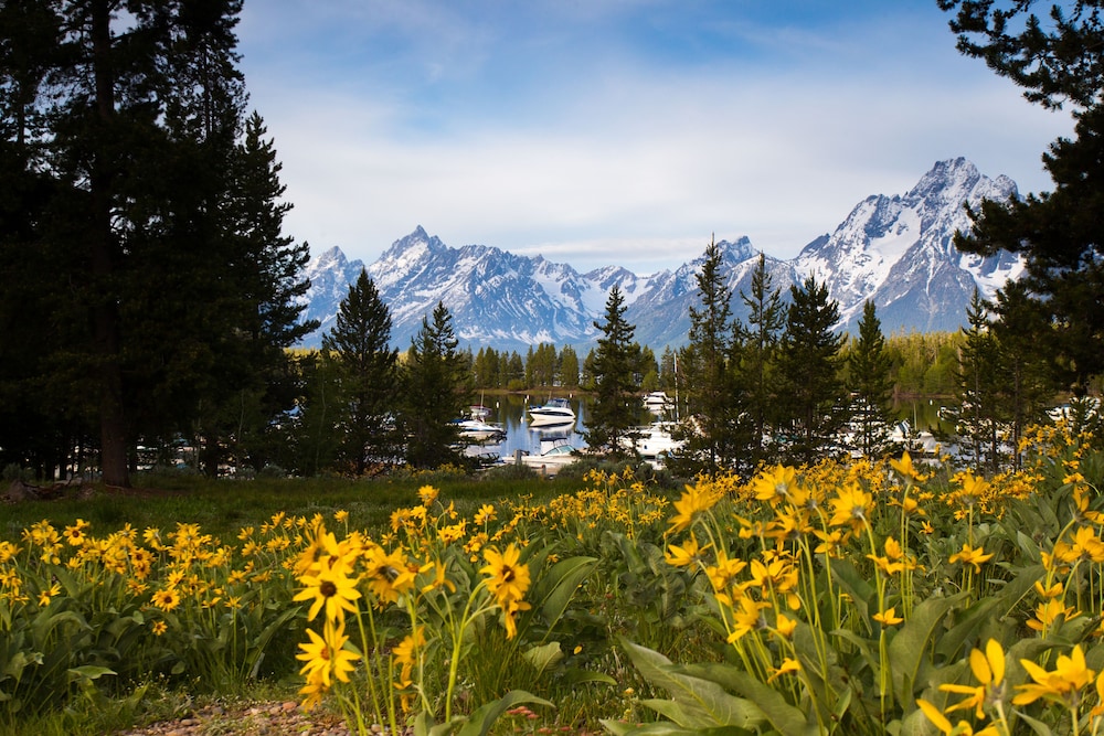 Colter Bay Village - photo 40