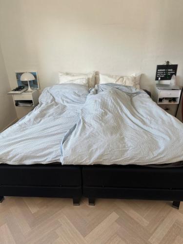 Beautiful gem in a quiet setting in Svendborg, Denmark