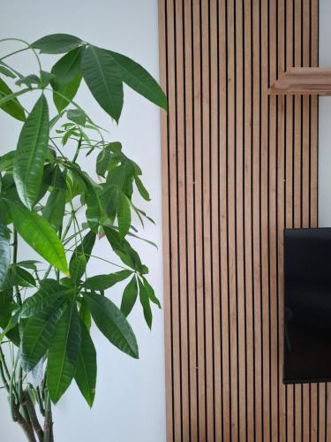 Maya's Home — 4-Star Luxury Hotel in Monfalcone, Italy