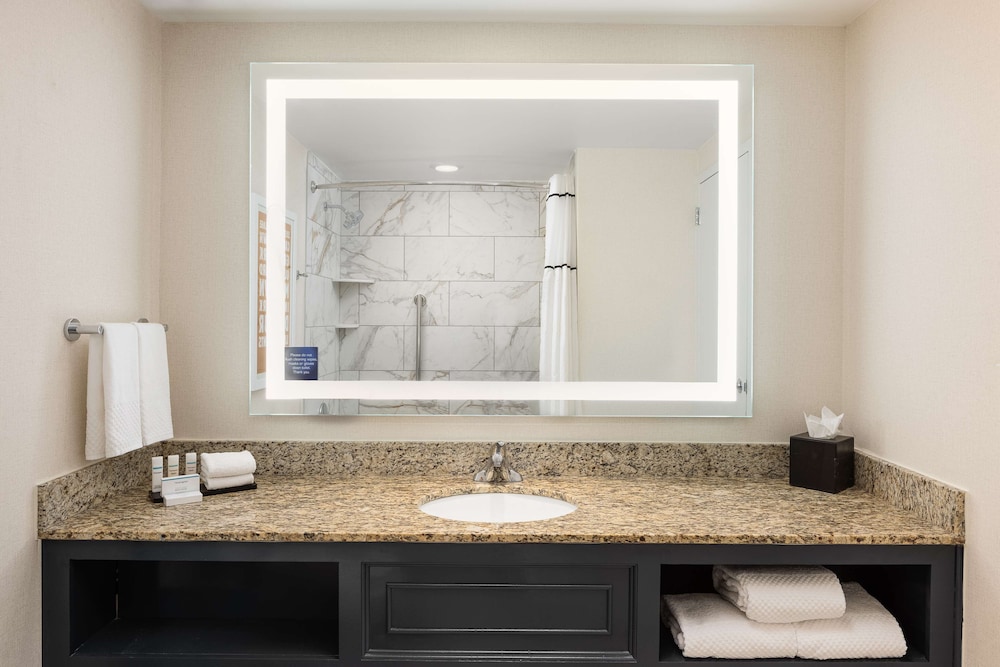 Embassy Suites by Hilton Atlanta Buckhead - photo 11